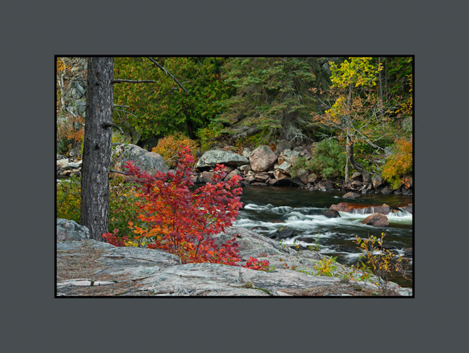 Scene Along the Wakonassin River